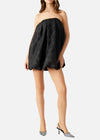 Steve Madden Claira Dress